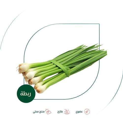 بصل اخضر طازج عضوي مزرعة الغذاء الآمن العضوية