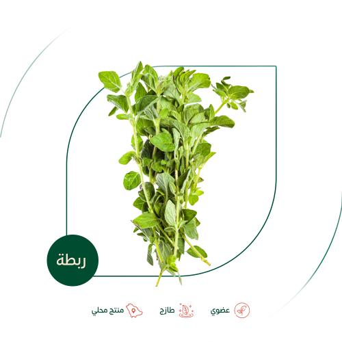 اوريجانو طازج عضوي مزرعة السلوى العضوية 100 جرام