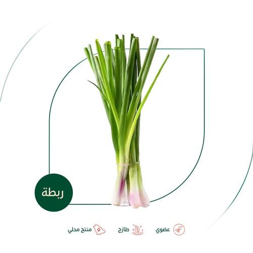 بصل اخضر عضوي ربطة مزرعة الطالبية