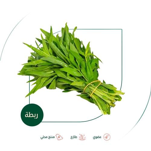 حبق طازج عضوي طازج ربطة مزرعة الطالبية