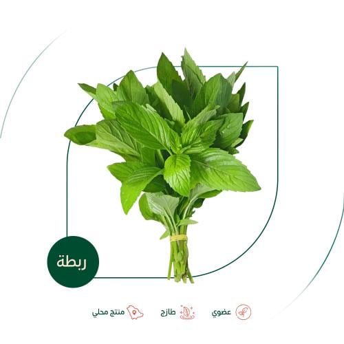 نعناع طازج عضوي ربطة مزرعة الطالبية
