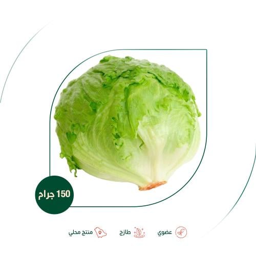 خس امريكي عضوي مزرعة الشهوان