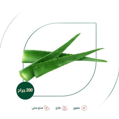 اوراق الصبار الخضراء العضوية الطازجة مزرعة بيت الا...