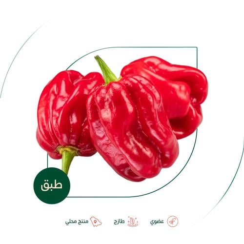 فلفل احمر حار عضوي مزرعة السلوى العضوية