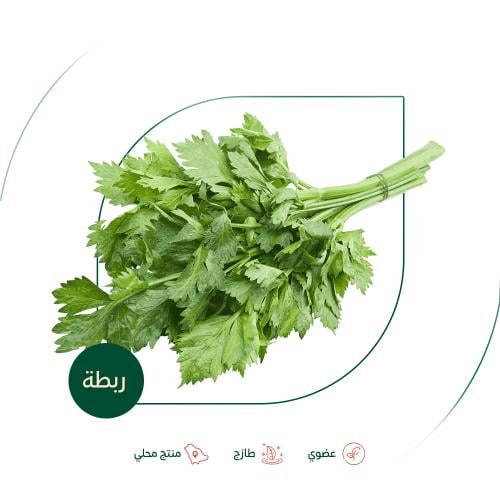 كرفس بلدي طازج عضوي مزرعة السلوى العضوية