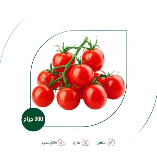 طماطم شيري عضوية مزرعة الياسمين العضوية 300 جم