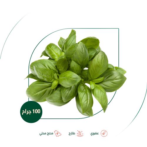 ريحان طازج عضوي مزرعة بيت الاستنبات العضوية