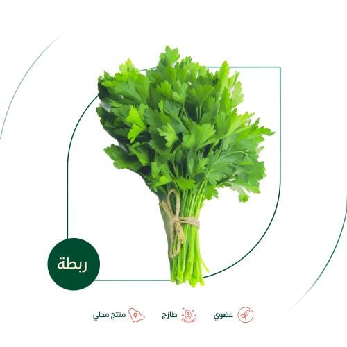 بقدونس طازج عضوي ربطة مزرعة السلوى العضوية