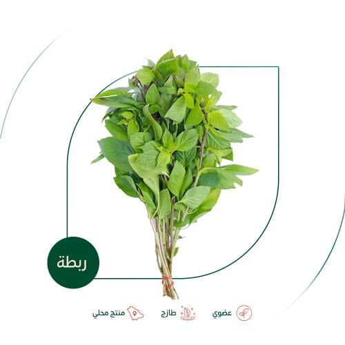 حبق طازج عضوي مزرعة الشهوان