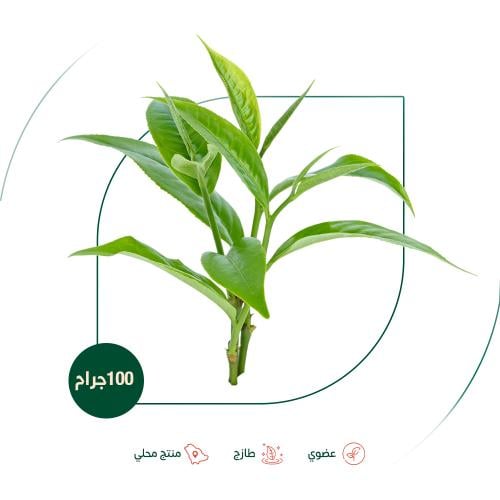 شاي اخضر طازج عضوي مزرعة السلوى العضوية 100 جرام