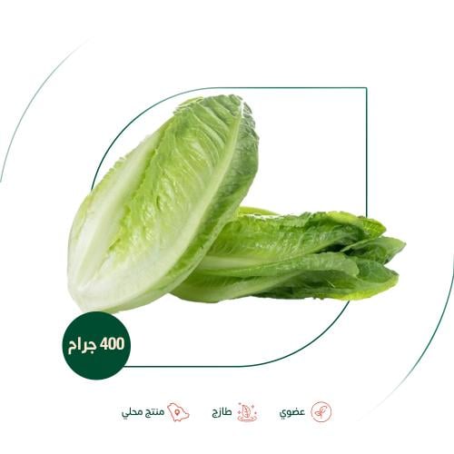 خس عضوي مزرعة الطالبية 400 جم