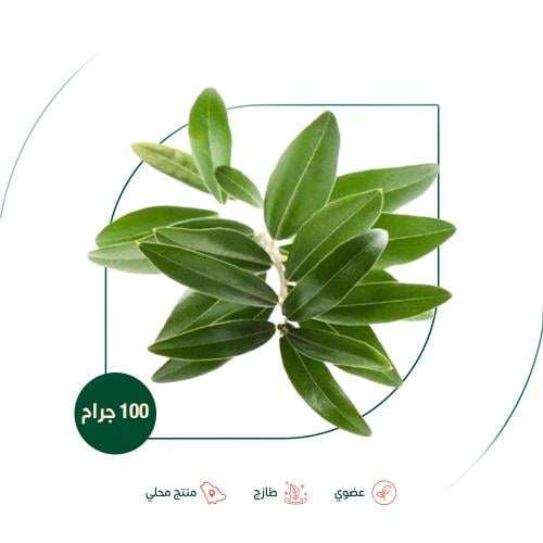 ورق زيتون طازج عضوي مزرعة السلوى العضوية