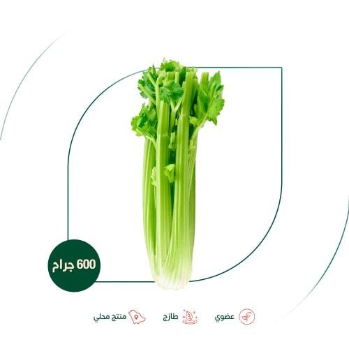 كرفس عضوي مزرعة الغذاء الآمن العضوية