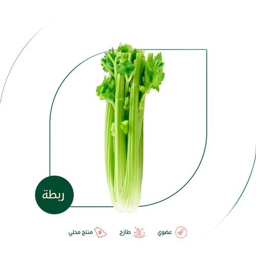 كرفس عضوي ربطة مزرعة الطالبية