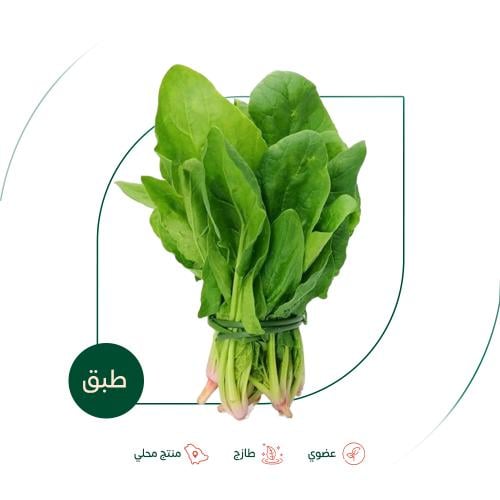 سبانخ طازجة عضوية مزرعة بيت الاستنبات العضوية
