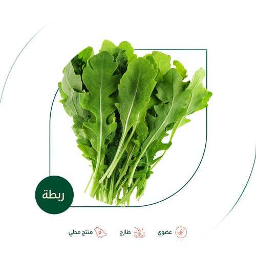جرجير طازج عضوي ربطة مزرعة الطالبية