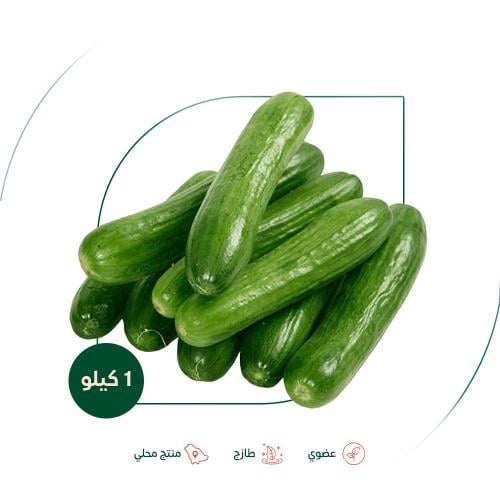 خيار عضوي مزرعة الشهوان