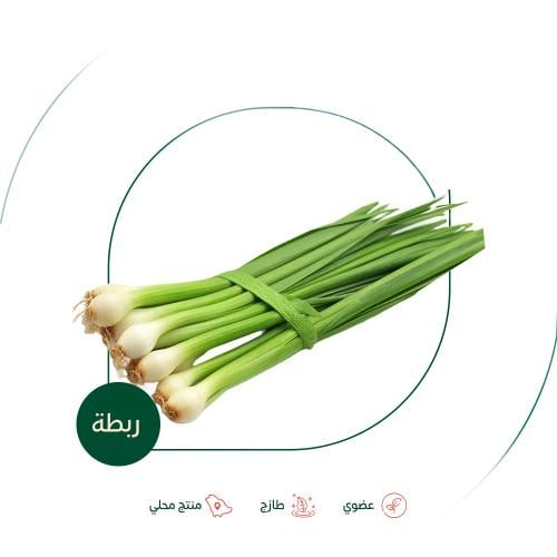 بصل اخضر طازج عضوي ربطة مزرعة السلوى العضوية