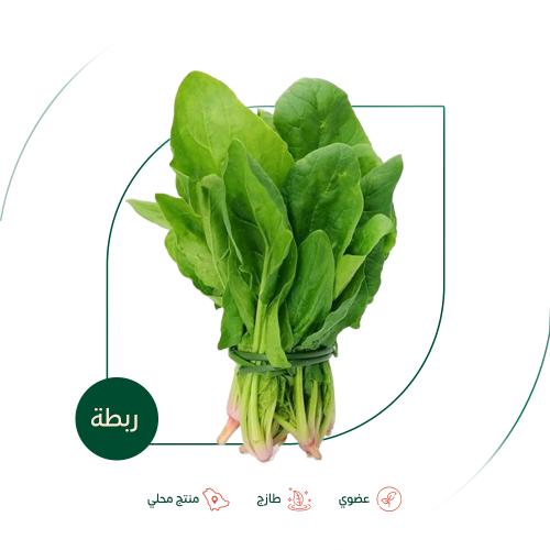 سبانخ طازجة عضوية مزرعة الغذاء الآمن العضوية