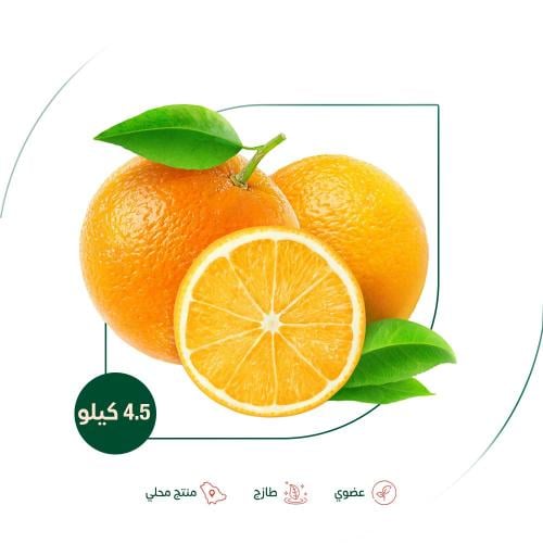 برتقال ابو صرة العضوي مزرعة سالم المهوس العضوية 4....
