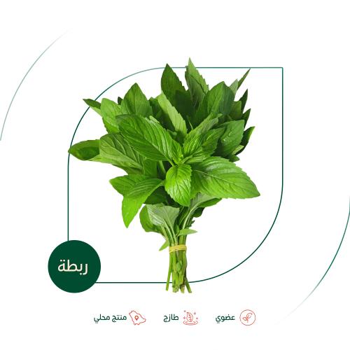 نعناع طازج عضوي مزرعة بيت الاستنبات العضوية