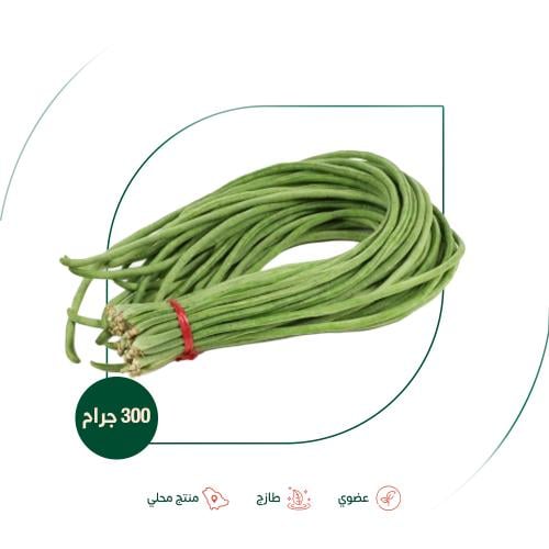 فاصوليا خضراء طويلة طازجة عضوية مزرعة بيت الاستنبا...