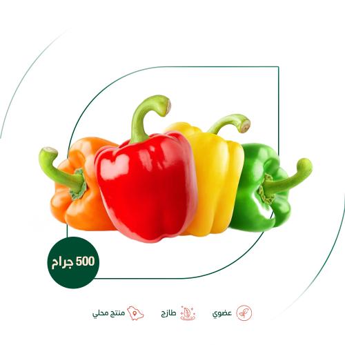 فلفل رومي ملون عضوي مزرعة السلوى العضوية 500 جم