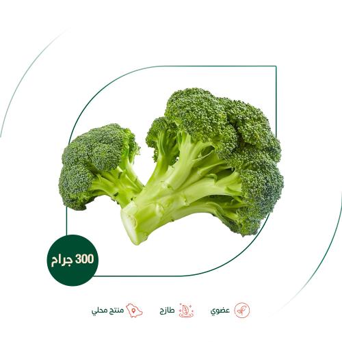 بروكلي عضوي مزرعة الشهوان 300 جم