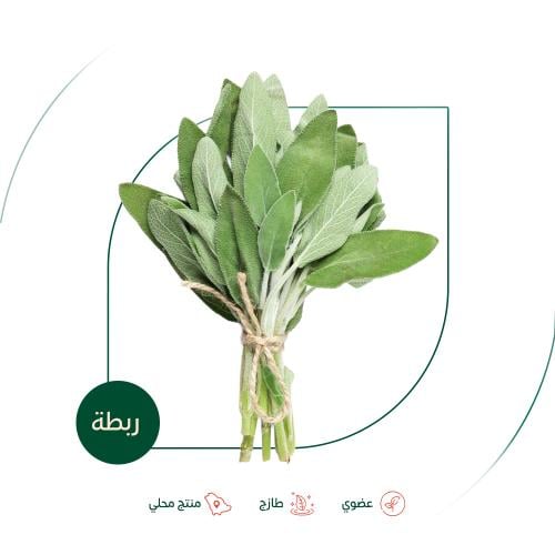 مرامية طازجة عضوية مزرعة بيت الاستنبات العضوية