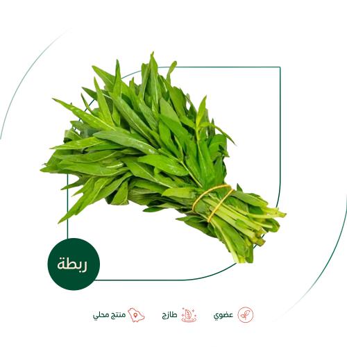 حبق طازج عضوي مزرعة بيت الاستنبات العضوية