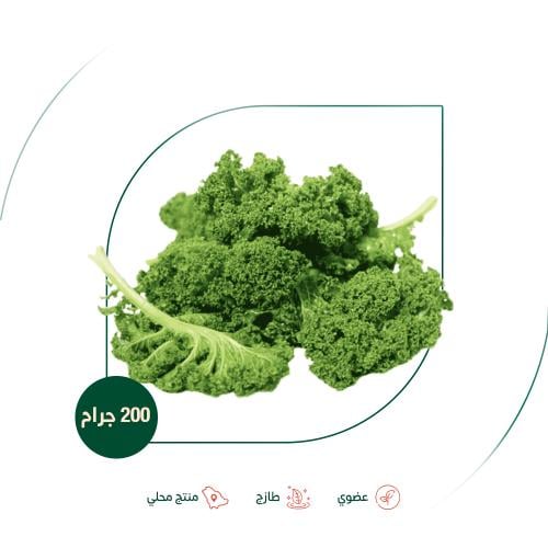 كيل اخضر عريض عضوي مزرعة بيت الاستنبات العضوية
