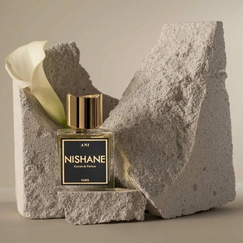 عطر نيشاني اني اكسترايت دو بارفيوم 50 مل