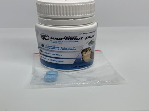 كورس كوكسيديا ودود شامل فيتافارم