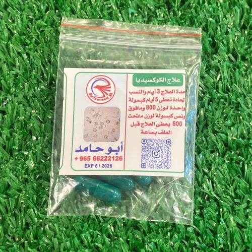 ابو حامد علاج الكوكسيديا