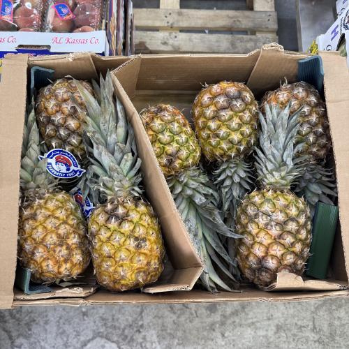 اناناس فلبيني كرتون