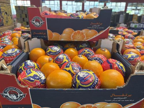 برتقال مصري شربتلي فرشه 7 كيلو