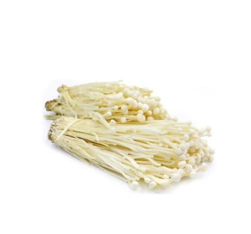 فطر ريشي اينوكي