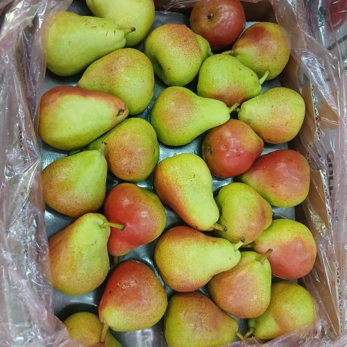 كمثرى احمر افريقي 12.5 كيلو