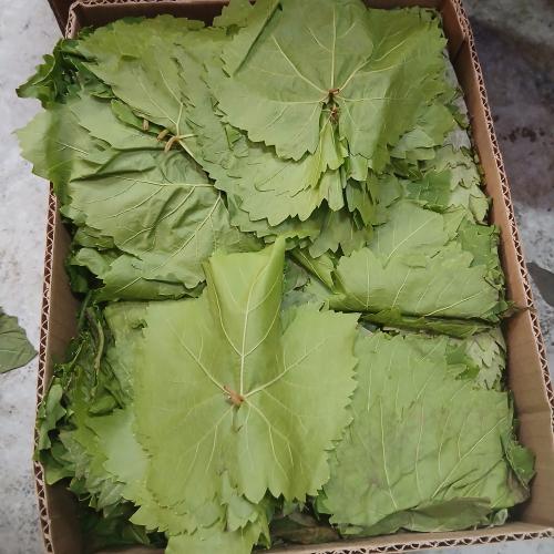 ورق عنب حجم وسط 1 كيلو