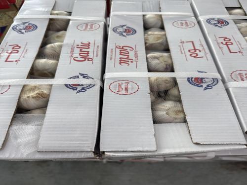 ثوم صيني شربتلي 3 كيلو