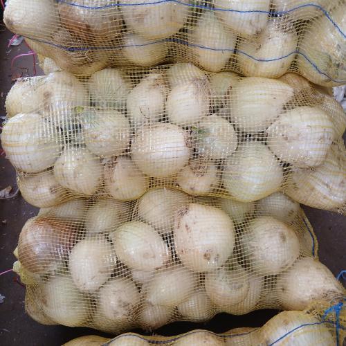 بصل ابيض أمريكي 5 كيلو