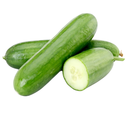 خيار كيس 1 كيلو