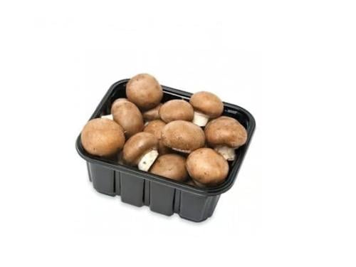 علبة مشروم بني ( فطر بني