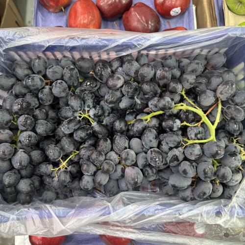 عنب اسود مع بذر 5 كيلو