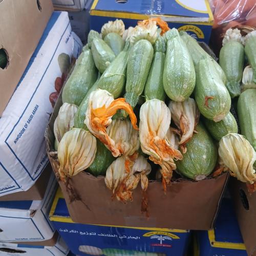 كوسة كرتون جودة عالية 10 كيلو