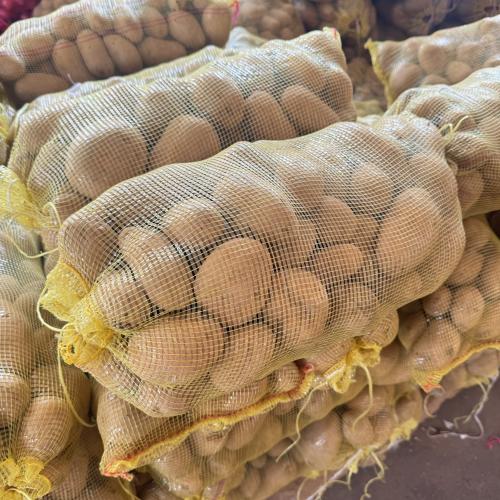 بطاطس الجوف ( قلي فقط ) 9 كيلو