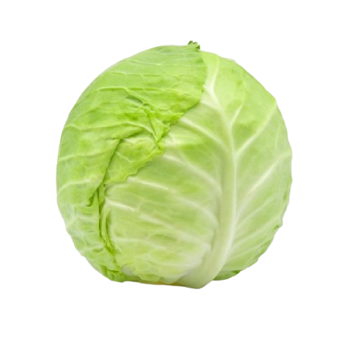 ملفوف محلي صغير سلطة 1 حبة