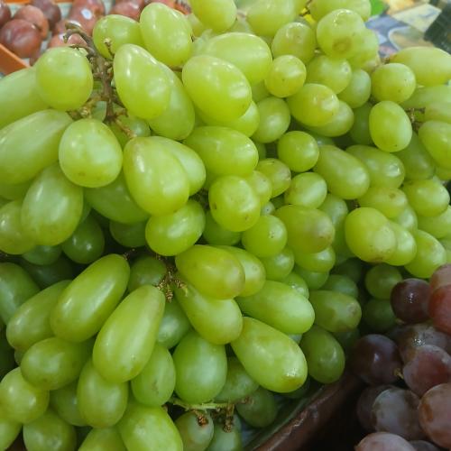 عنب ابيض بدون بذر 500جرام