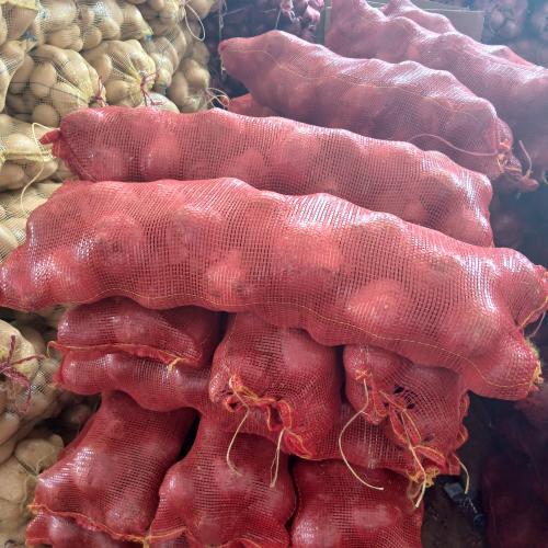 بصل محلي 10 كيلو