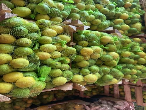 ليمون بن زهير مصري 6 شكات